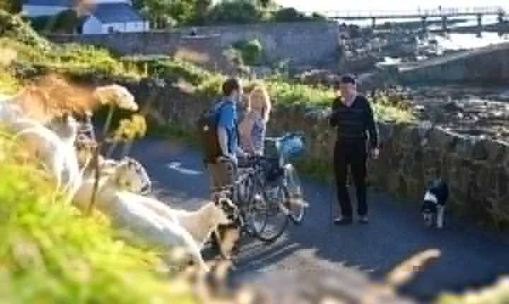 Cycle Inishbofin island. Connemara, Galway. Self-guided. Full day.