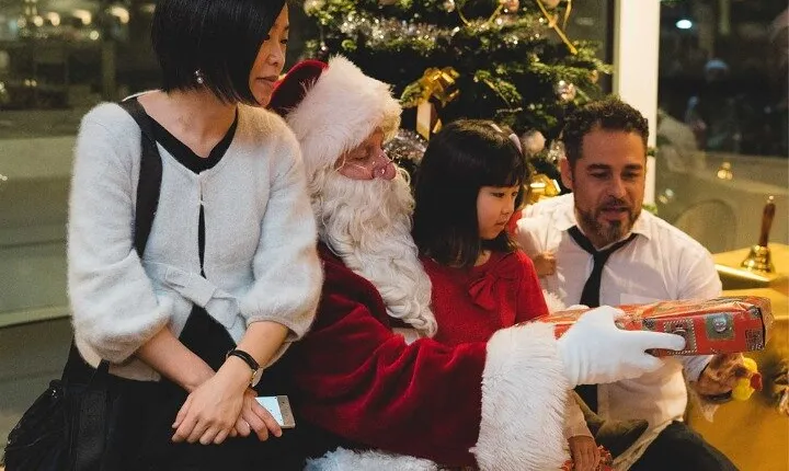 Paris Christmas Dinner Cruise Shared Tour with Singer