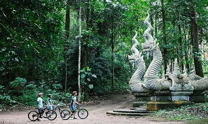Stairway to Heaven Trail Mountain Biking Tour Chiang Mai