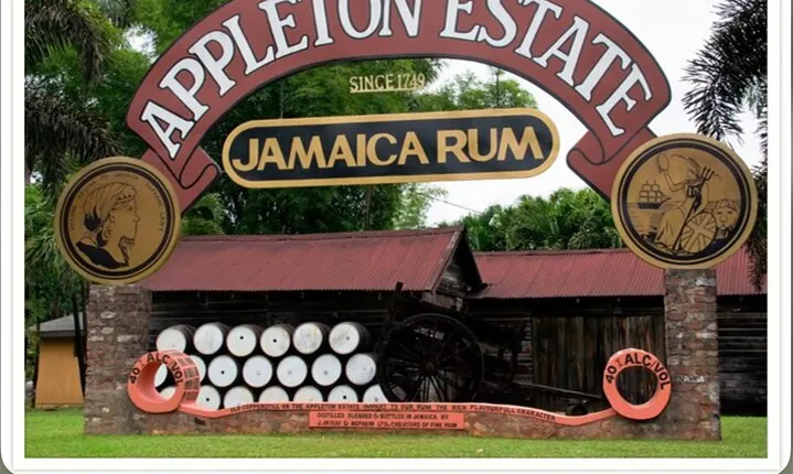 Luxury Transportation from Ocho Rios
