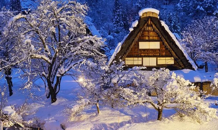 Shirakawago All Must-Sees Private Chauffeur Tour with a Driver (Takayama DEP.)