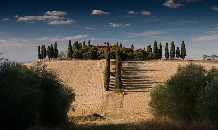 Discover Chianti: Half-Day Tour