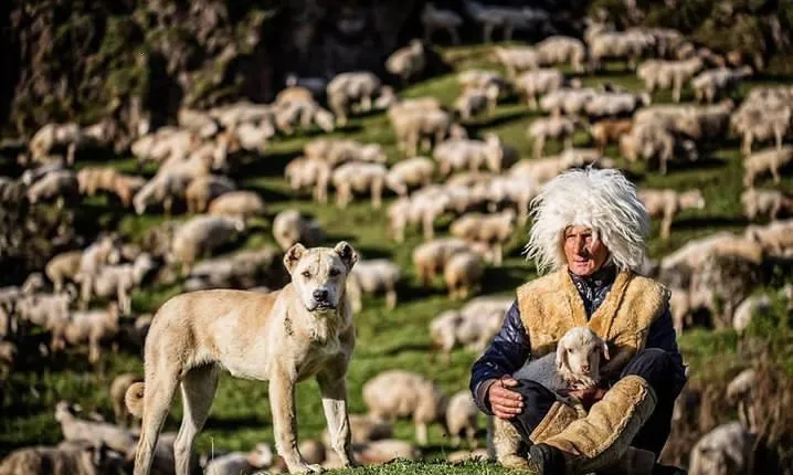 2-Day Private Tour to Kazbegi from Tbilisi