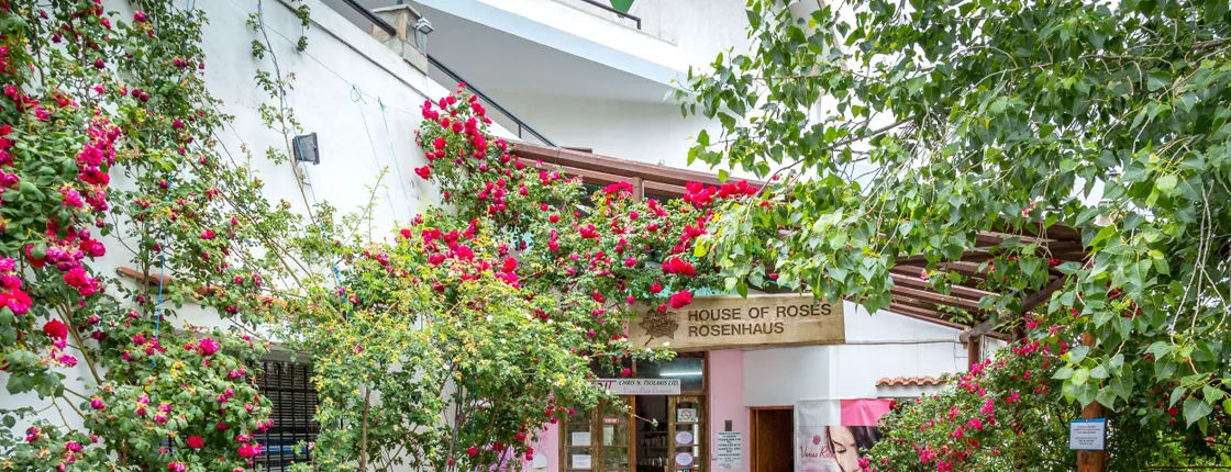 Cyprus Food and Wine Tour with a Local Guide