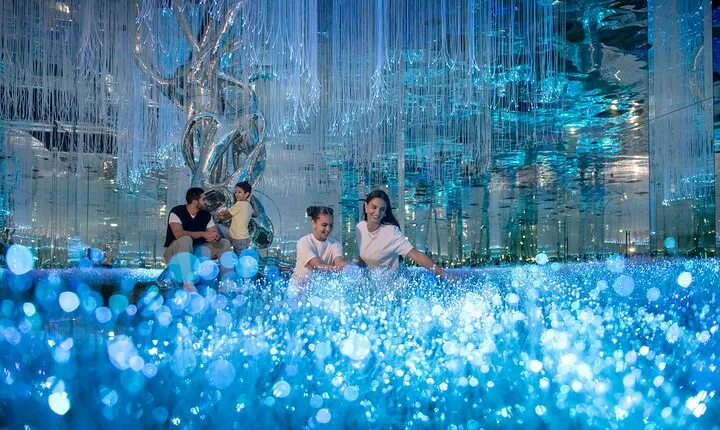 AYA Universe Entry Ticket