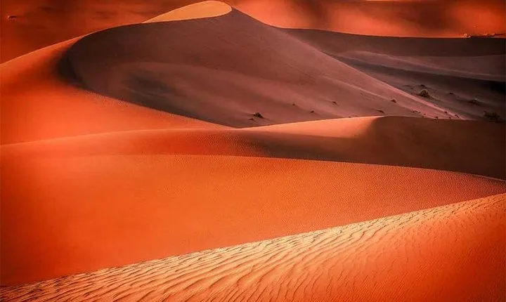 Thrilling Red Dune Safari with Quad Bike