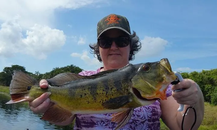 8 Hour Peacock Bass Fishing Trip Near Palm Beach