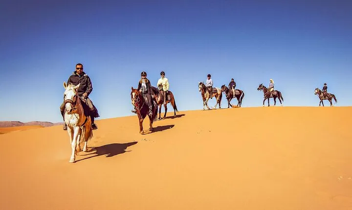 3 Hours Sunrise Horse Riding in Marsa Alam with Transfer