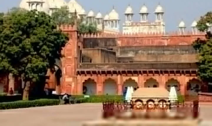 Private Tour: Day Trip to Agra from Dehi including Taj Mahal and Agra Fort