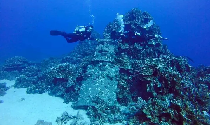Shared Scuba Diving Experience on Easter Island one dive only