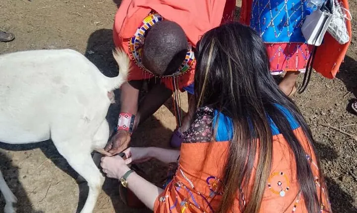 Maasai Village Visit and Cultural Experience Tour with entry fee
