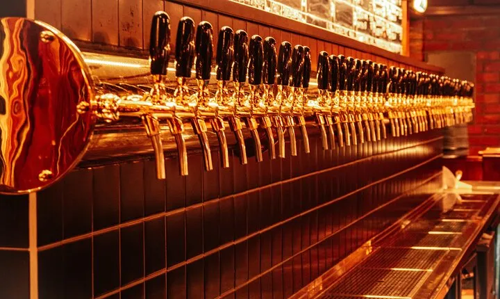 Brews and Views City Walking Tour in Tromsø with Beer Tasting