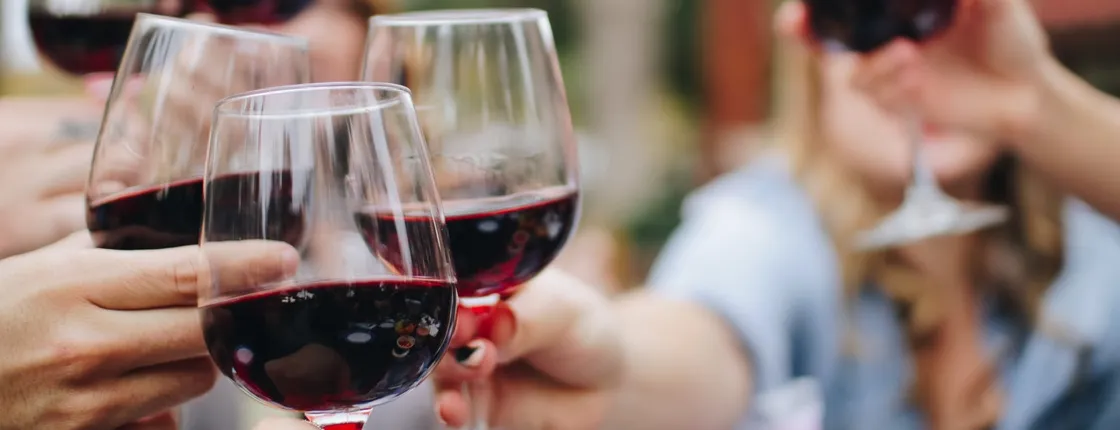 Wine Experience through Chianti Hills from Florence