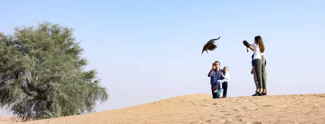 Private Dubai falconry safari with optional breakfast