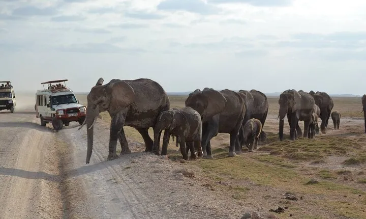 Overnight Amboseli National Park Safari