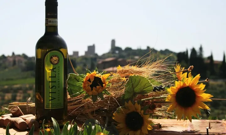 Private Tuscan meal with Wine and EVO oil tasting