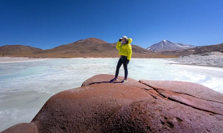 Full Day Tour Piedras Rojas Altiplanic Lagoons Chaxa Lagoon