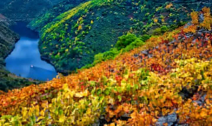 Discovering the Beauty of Ribeira Sacra: A Private Tour