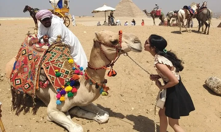 4-hours Private Guided tour Giza Pyramids ,Sphinx with Camel ride