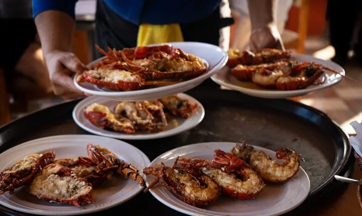 Puerto Nuevo Lobster and Tequila Tour