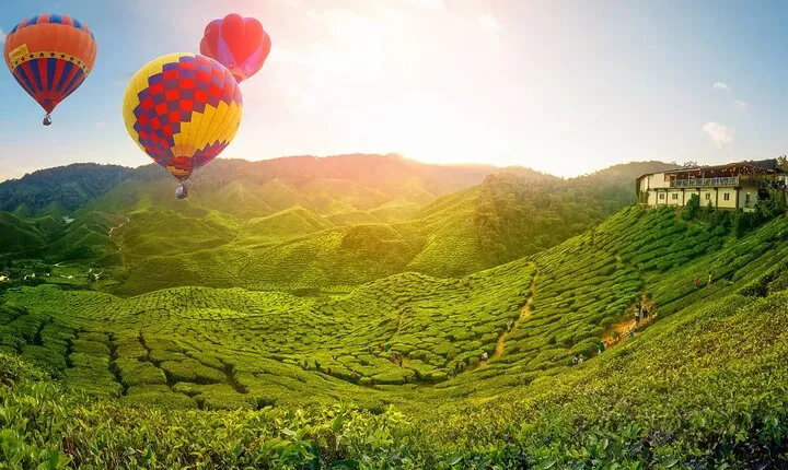 Full Day Cameron Highlands Nature Tour with Hobbitoon Village