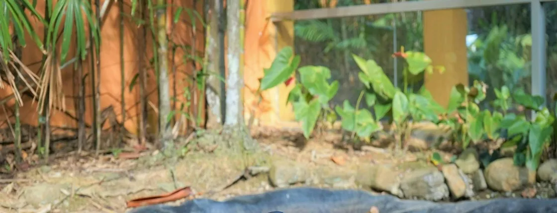 Entrance e-ticket for Langkawi Wildlife Park