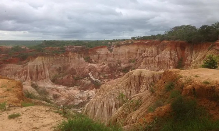 ROBINSON ISLAND/MARAFA HELL's KITCHEN