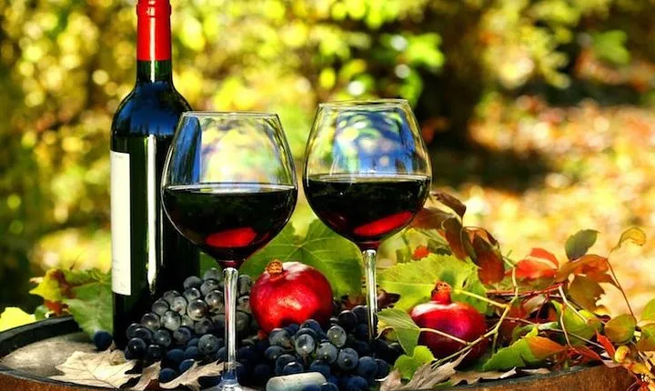 Nice Private Tour with wine tasting in Three wine estates