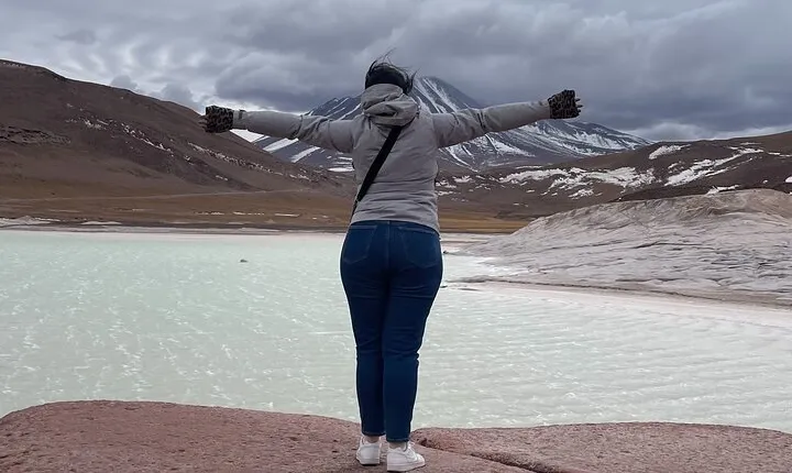 Altiplanic Lagoons & Piedras Rojas Tour from San Pedro de Atacama