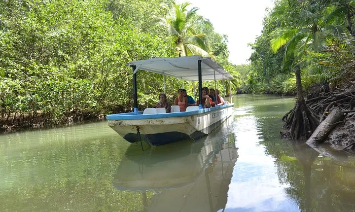 Costa Rica Mangrove Monkey Tour