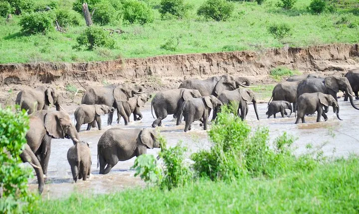 3 Days Serengeti & Ngorongoro Crater group safari
