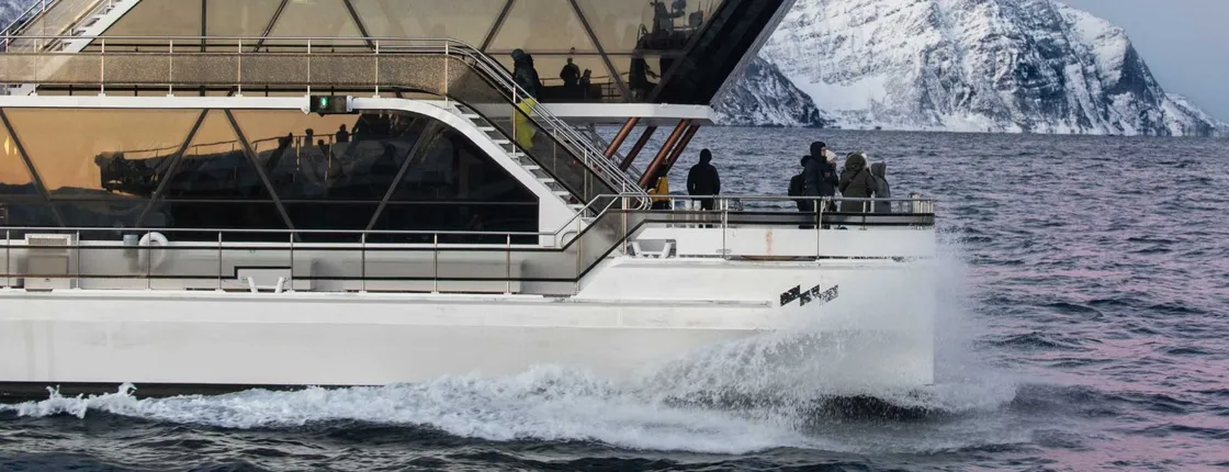 Tromsø fjord and wildlife cruise