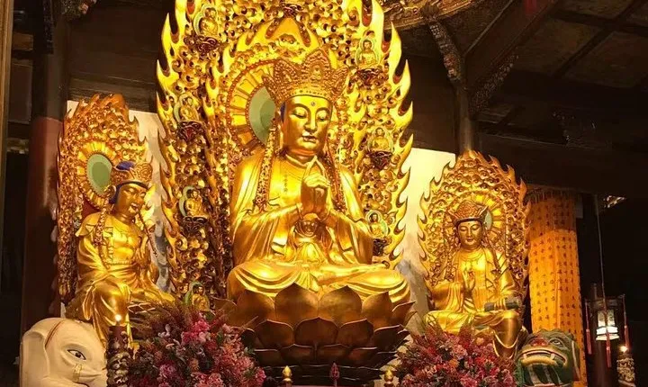 Full-Day Private Historical Guided Tour of Shanghai City