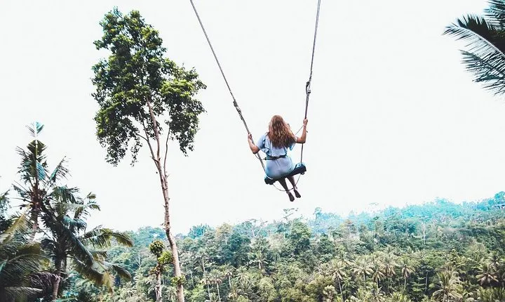 Best of Ubud Full-Day Tour with Jungle Swing