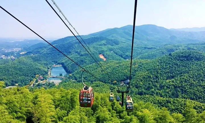 All Inclusive Yixing Bamboo Forest Private Day Tour from Shanghai
