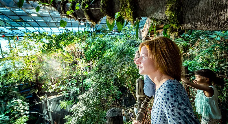 Private day tour visit Universeum science centre and Haga old town
