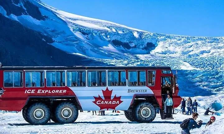 Calgary: Columbia Icefield Adventure, Skywalk and Peyto Lake Tour