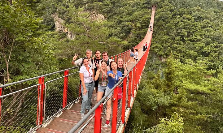 Seoul DMZ Tour with 3rd Tunnel and Red Suspension Bridge