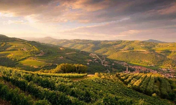 Full-Day Valpolicella Private Tour from Milan with Wine Taste