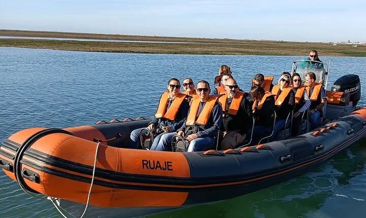 Dolphin Watching + 2 Islands Tour - From Faro