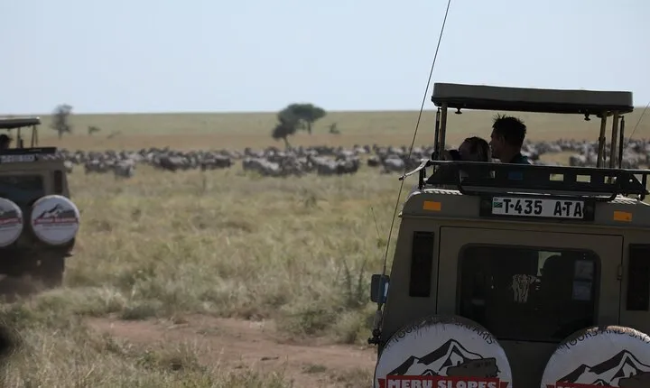 8 Day Mid Range Serengeti Wildebeests Migration Tour