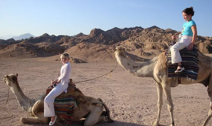 Camel riding with Bedouin evening and Oriental show