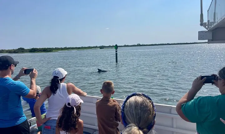 Dolphin and Wildlife Adventure of St. Augustine