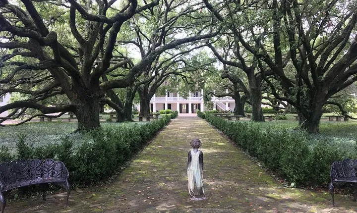 Two Plantation Tour: Oak Alley and Laura or Whitney