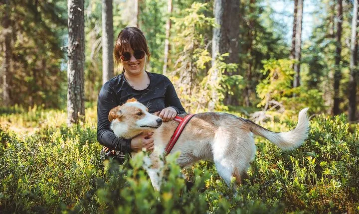 Husky Farm Visit in Rovaniemi