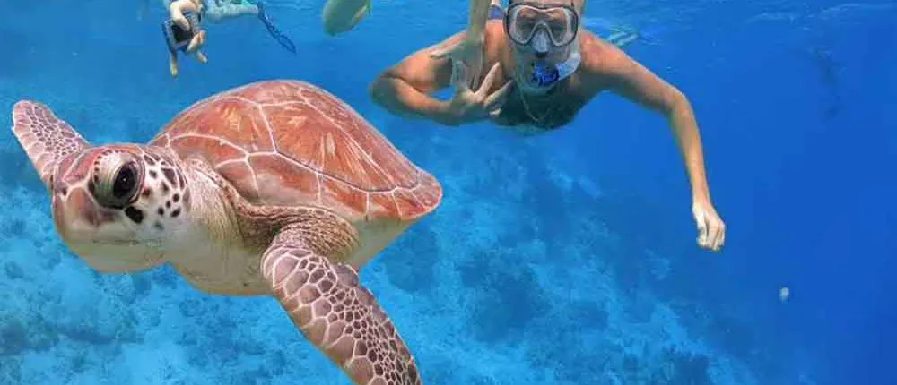 SNORKELING TRIP TO GIFTUN ISLAND