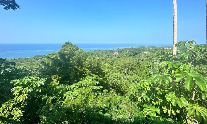Rum tasting, chocolate and wildlife Adventure