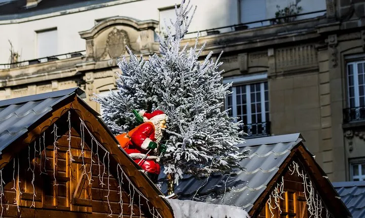 Christmas Champagne Day Trip to Reims Small Group Experience