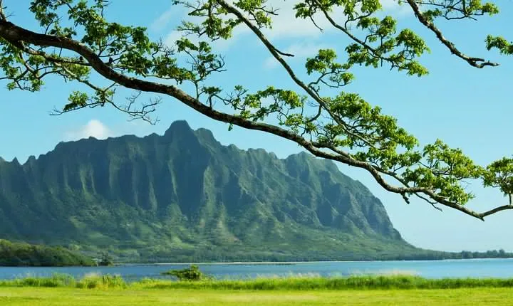 Private Green and Blue Circle Island Oahu Tour (se habla espanol)