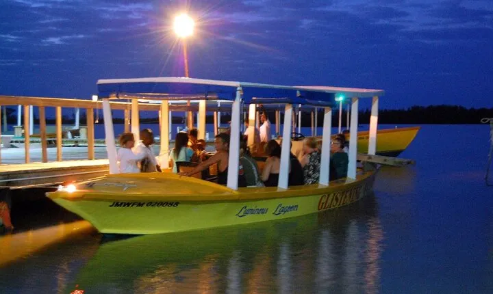 Luminous Lagoon Glistening Waters from Montego Bay